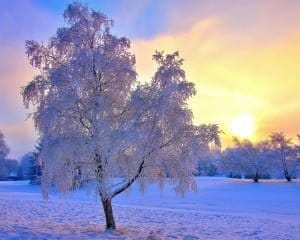 Afronter l hiver en douceur avec l Ayurveda